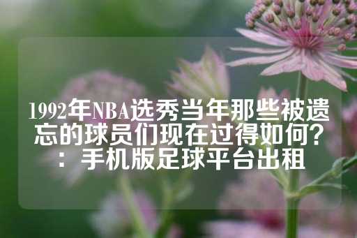 1992年NBA选秀当年那些被遗忘的球员们现在过得如何？：手机版足球平台出租