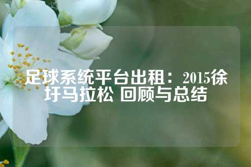 足球系统平台出租：2015徐圩马拉松 回顾与总结