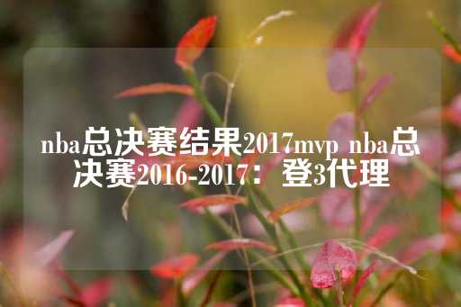 nba总决赛结果2017mvp nba总决赛2016-2017：登3代理-第1张图片-皇冠信用盘出租